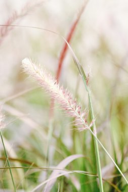 Vintage bahar çiçekleri