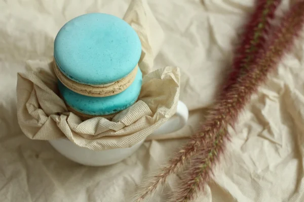 Macarrones azules — Foto de Stock