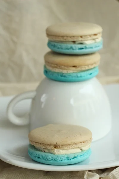 Macarons bleus — Photo