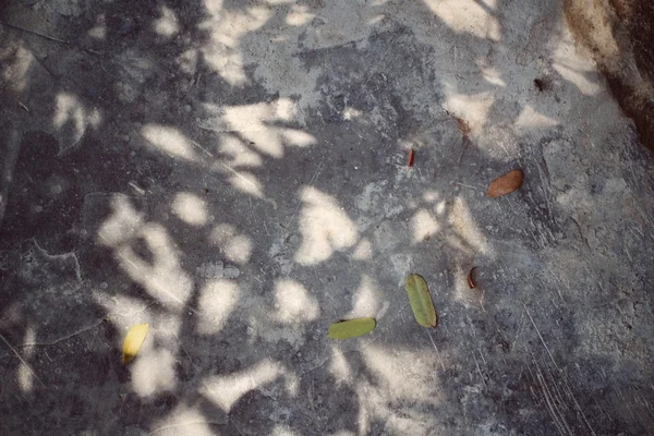 Leaves with shadow — Stock Photo, Image