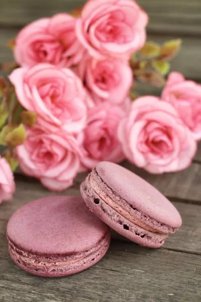 Macarons aux myrtilles — Photo