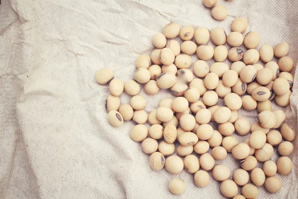 Soy beans — Stock Photo, Image