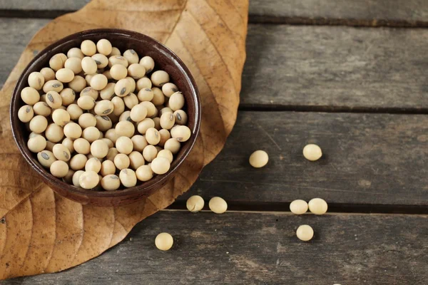 Soy beans — Stock Photo, Image