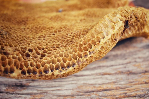 Bienenwaben — Stockfoto