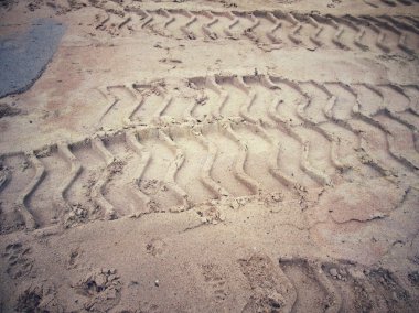 Topraktaki tekerlek izleri.