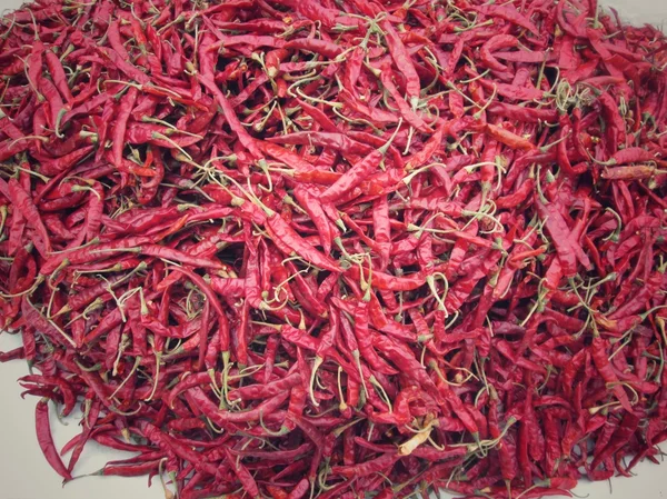 Dried chili — Zdjęcie stockowe