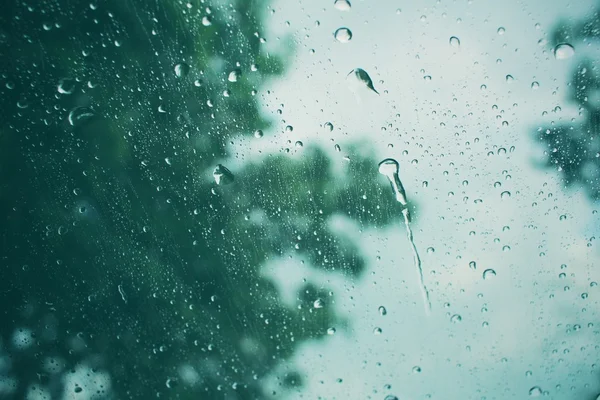 Goutte d'eau avec ciel et arbre — Photo