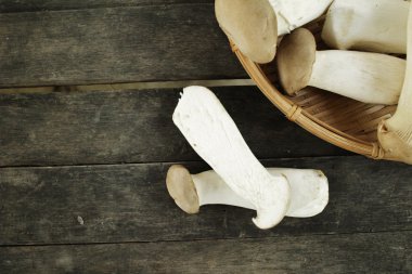 istiridye mantar - eryngii mantar Kral