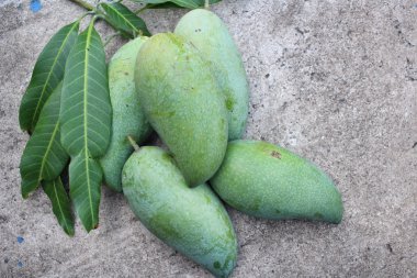 Yeşil mango
