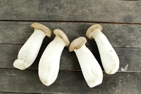 King oyster mushroom -  Eryngii mushroom — Stock Photo, Image