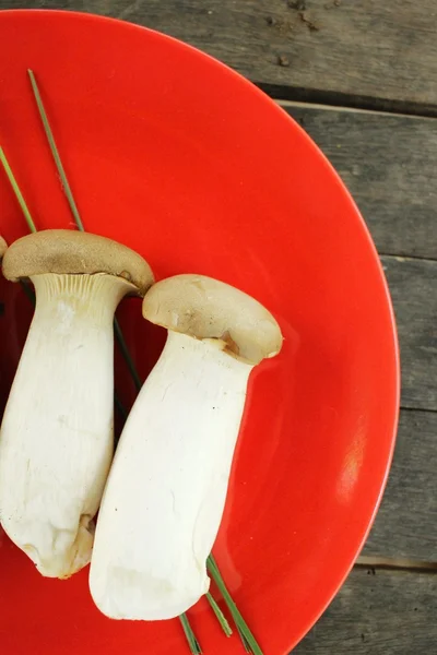 Champignon de l'huître royale - Champignon Eryngii — Photo