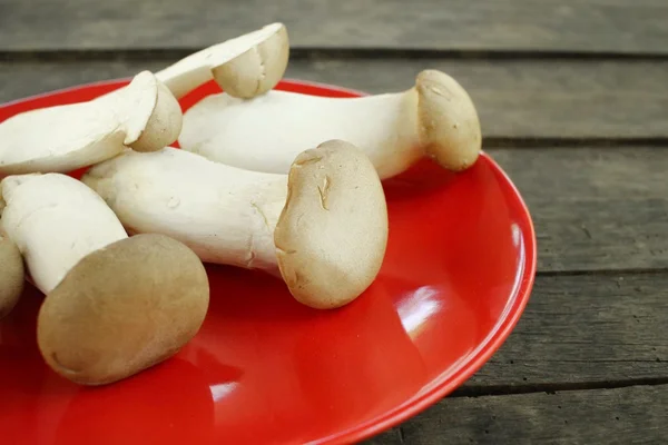 King oyster mushroom -  Eryngii mushroom — Stock Photo, Image