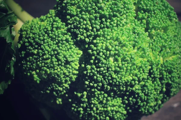 Broccoli met schaduw — Stockfoto