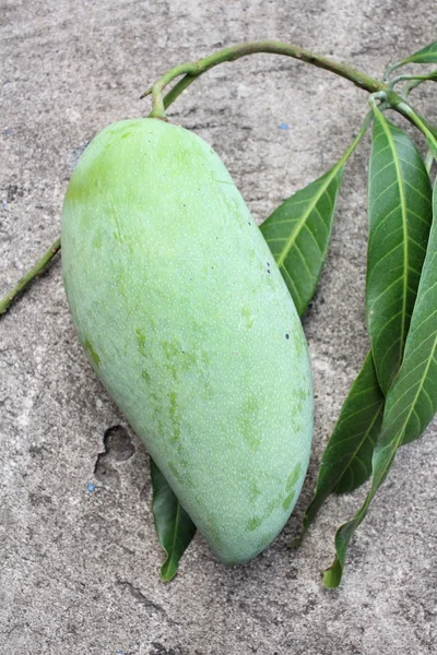 Green mango — Stock Photo, Image