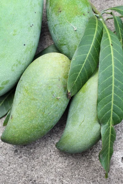 Mango verde — Foto Stock