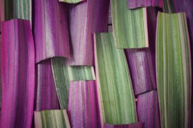 Mor yaprakları arka plan