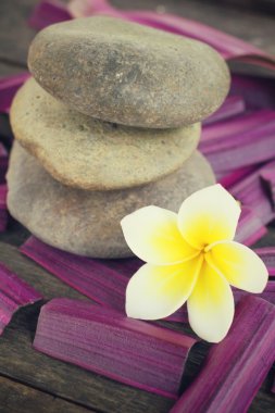 Frangipani spa taşlarla