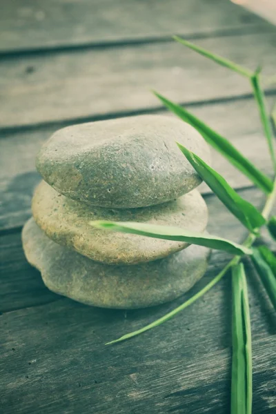 Bambu yaprak Spa taşlarla — Stok fotoğraf