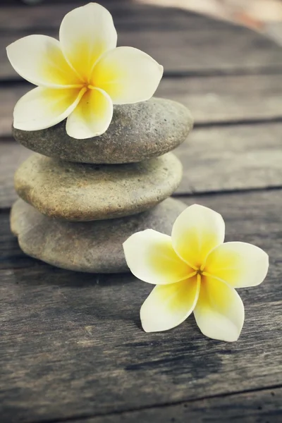 Frangipani with spa stones — Stock Photo, Image