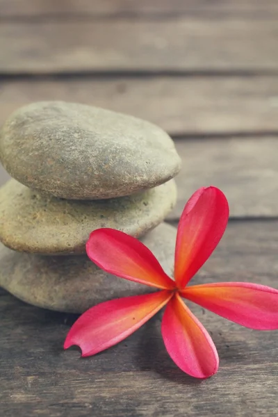 Frangipani con piedras de spa — Foto de Stock