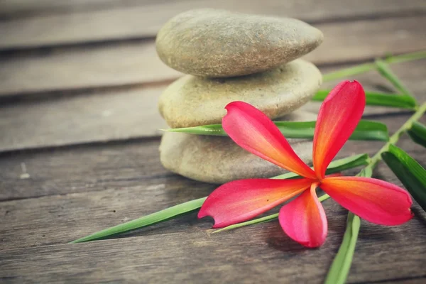 Frangipani with spa stones — Stock Photo, Image