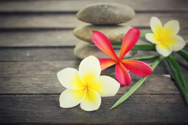 Frangipani with spa stones — Stock Photo, Image