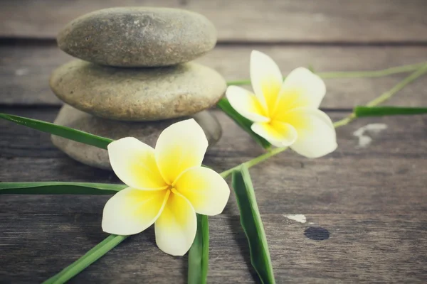 Frangipani com pedras de spa — Fotografia de Stock