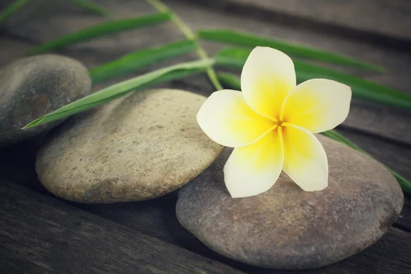 Frangipani with spa stones — Stock Photo, Image