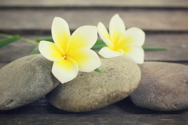 Frangipani con piedras de spa — Foto de Stock