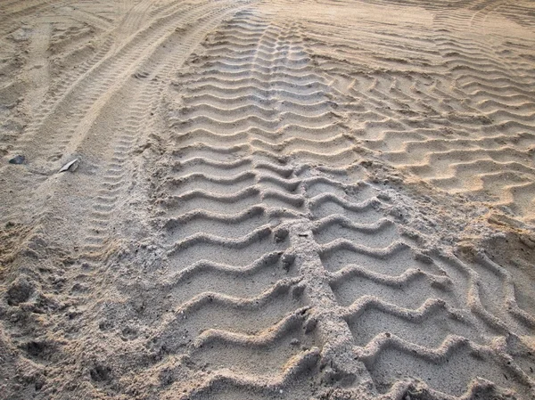 Wielsporen op de grond. — Stockfoto