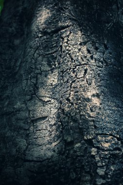 gölge ile eski ahşap