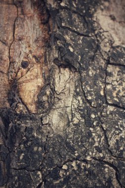 eski ahşap arka plan