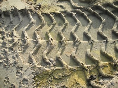 Topraktaki tekerlek izleri.