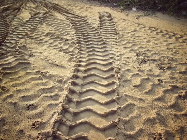 Wielsporen op de grond. — Stockfoto