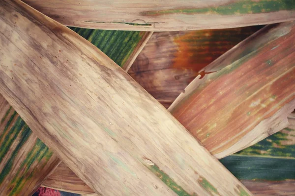 Foglie essiccate di bambù — Foto Stock
