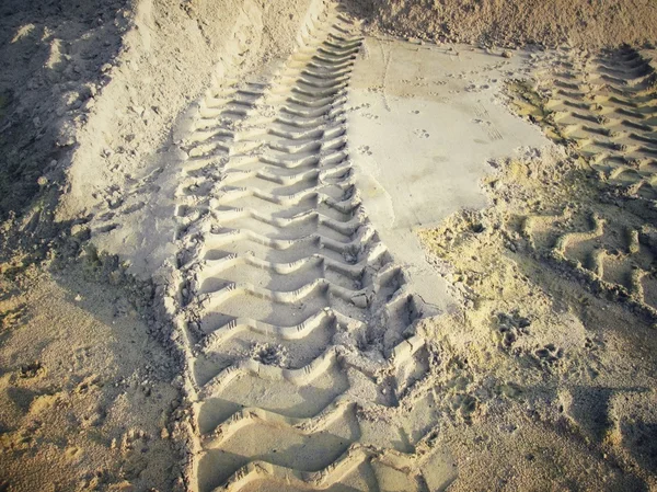 Wielsporen op de grond. — Stockfoto