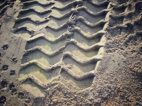 Wielsporen op de grond. — Stockfoto