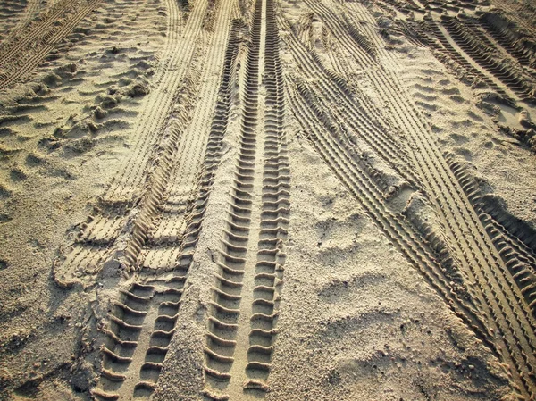 Wielsporen op de grond. — Stockfoto