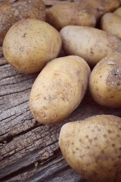 Fresh potatoes — Stock Photo, Image