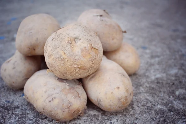 Fresh potatoes — Stock Photo, Image