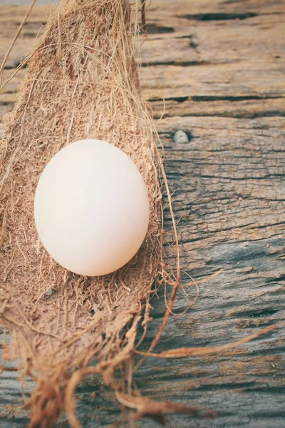 Jaja białe — Zdjęcie stockowe