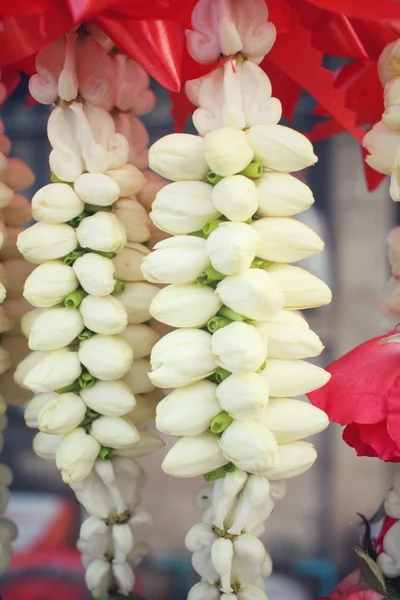 Garland of jasmine — Stock Photo, Image