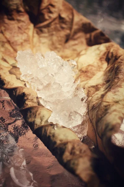 Getrocknete Blätter mit Eiswürfeln — Stockfoto
