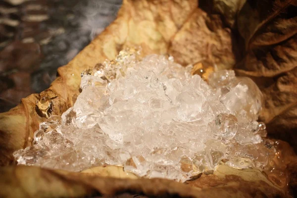 Getrocknete Blätter mit Eiswürfeln — Stockfoto