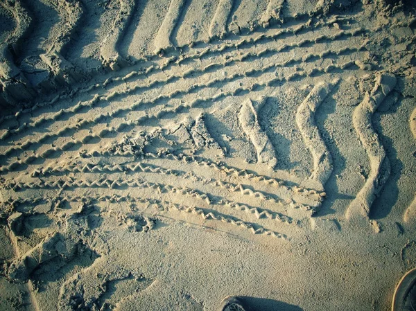 Wielsporen op de grond. — Stockfoto