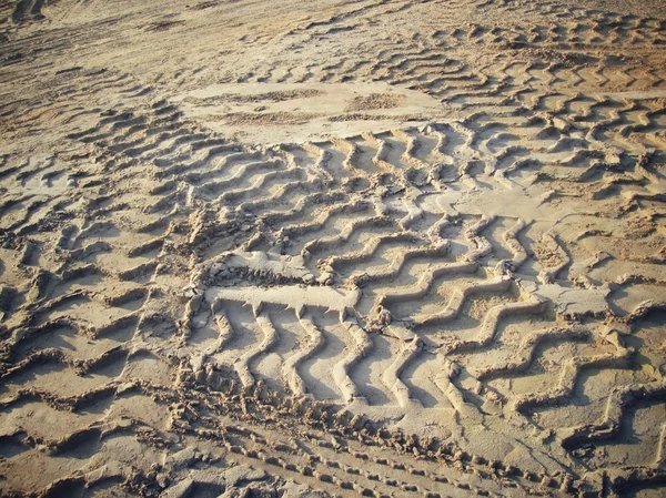 Pistes de roues sur le sol. — Photo