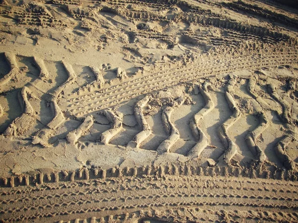 Wielsporen op de grond. — Stockfoto