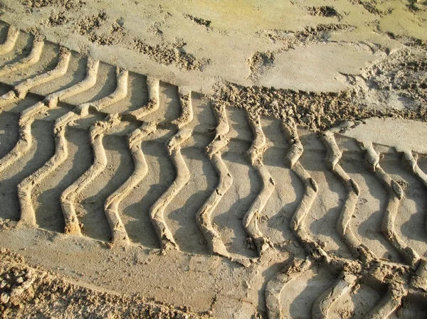 Wielsporen op de grond. — Stockfoto