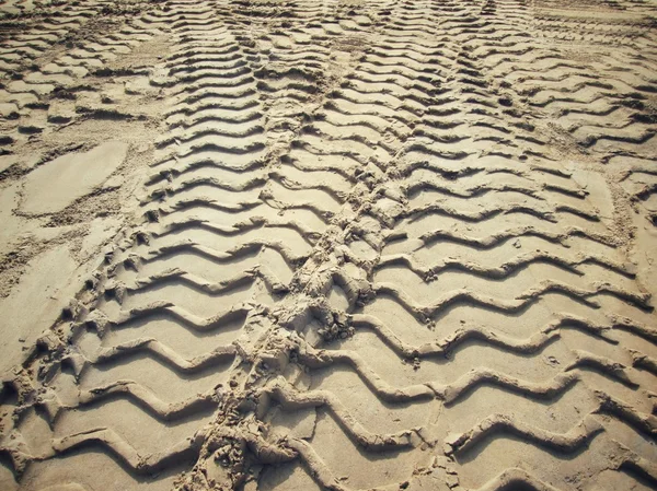 Wielsporen op de grond. — Stockfoto