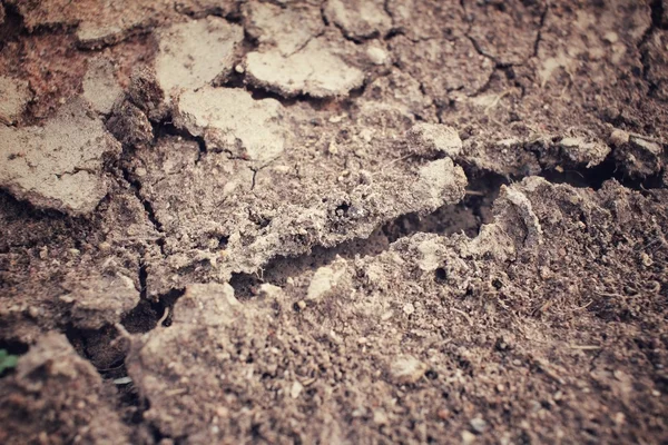 ひびの入った乾燥土壌 — ストック写真